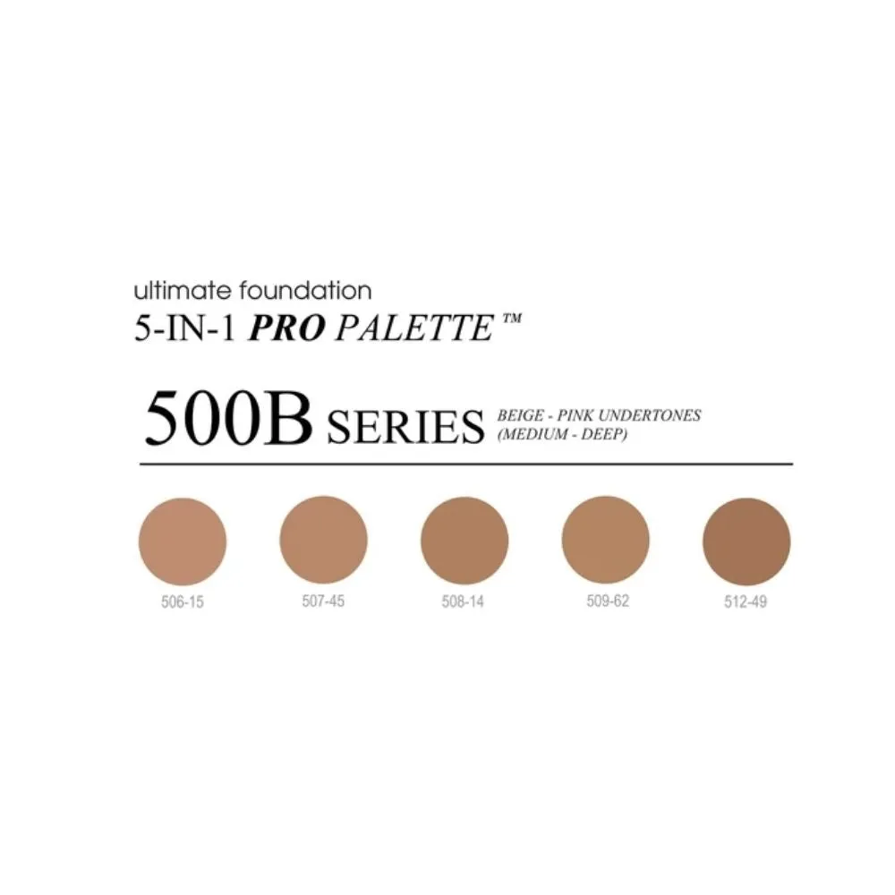 Cinema Secrets Ultimate Foundation 5 in 1 Pro Palette 500B