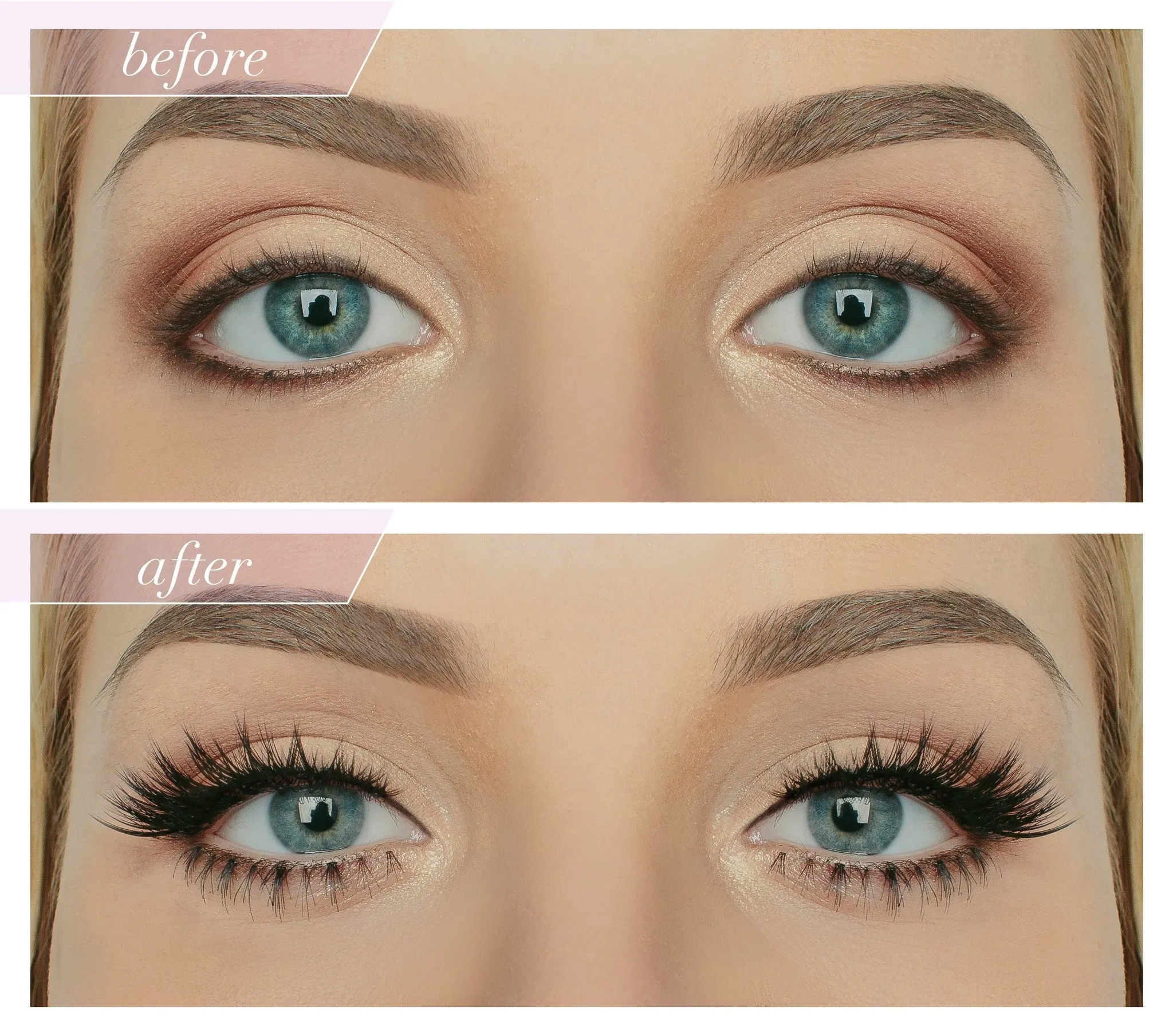 House of Lashes Precious